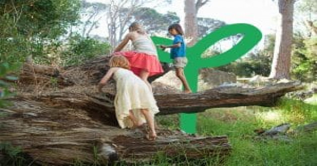 Naturally Kids Allied Heatlh